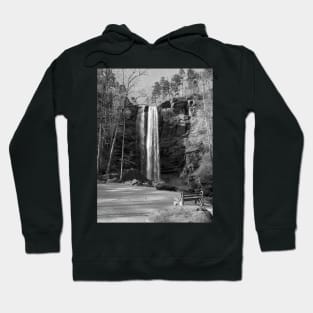 Toccoa Falls in Black and White Hoodie